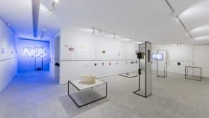 Galerias Raquel Arnaud e Luisa Strina completam 50 anos